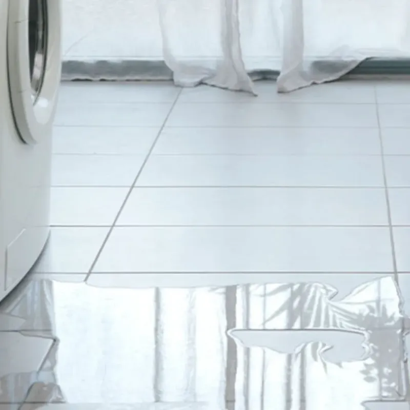 Appliance Leak Cleanup in Milton, WI