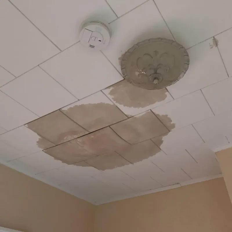 Ceiling Water Damage Repair in Milton, WI