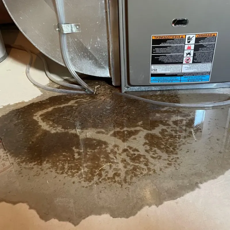 Pipe Burst and Leak Restoration in Milton, WI